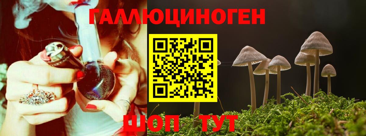 Псилоцибиновые грибы прущие грибы  Вход с VPN  Шатура 